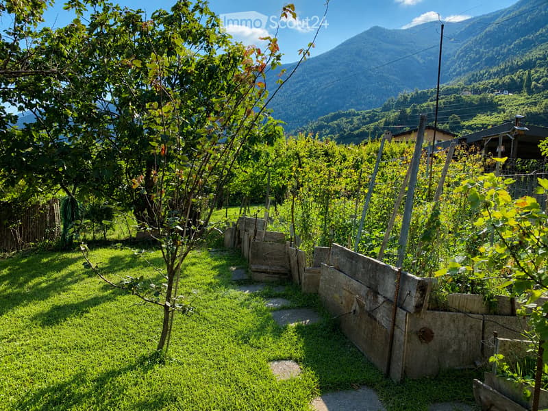 A well-maintained garden with neatly arranged wooden planters, lush green grass, and fruit trees, set against a backdrop of a scenic mountain range.