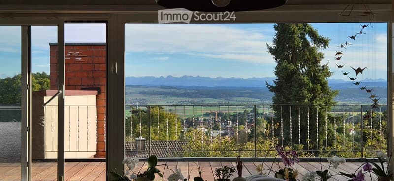 Balcony with wooden decking, metal railing, and a view of a town and mountains. Decorated with several potted plants and a hanging bird mobile.