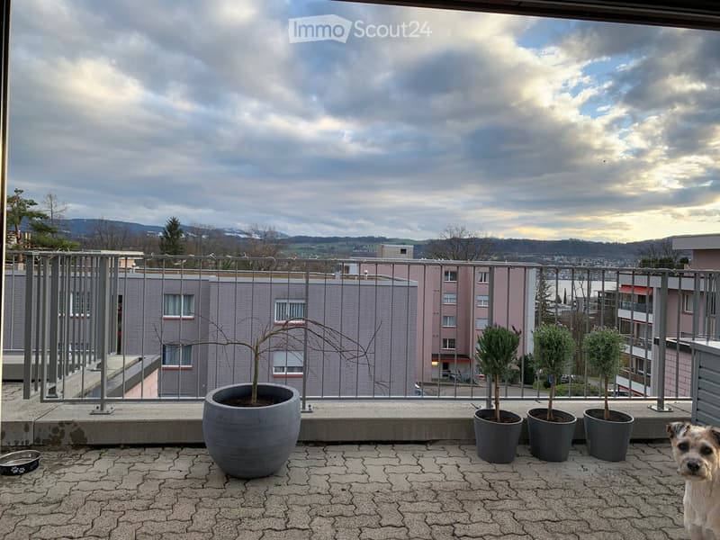 Attikawohnung 130 m² Wohnen und 130 m² Terrasse. Muss spätestens ab dem 1. Nov. übernommen werden! (5)