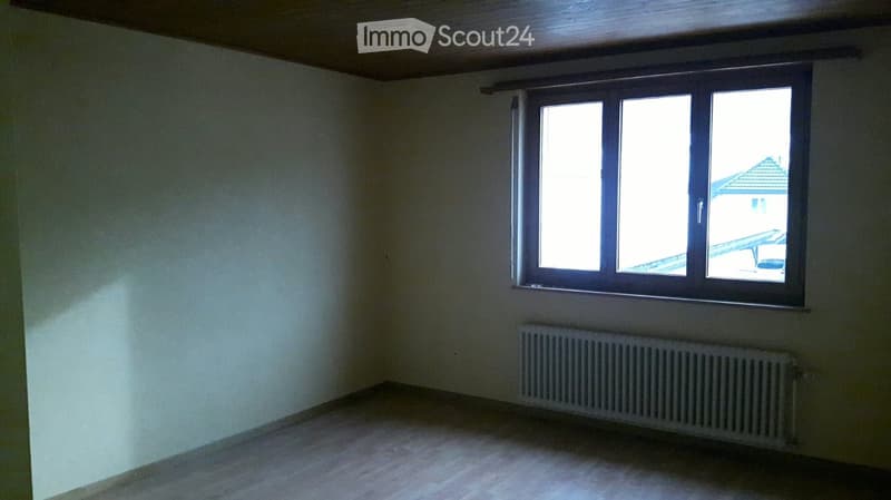 Empty room with light-colored walls, wooden flooring, a single window with multiple panes, and a radiator below the window.