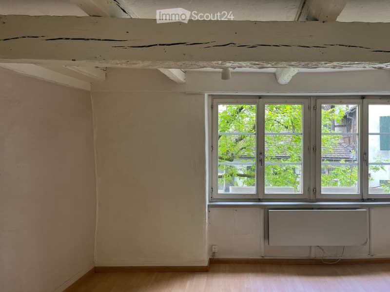 Empty room with wooden flooring, white walls, large window with multiple panes, and a radiator below the window.