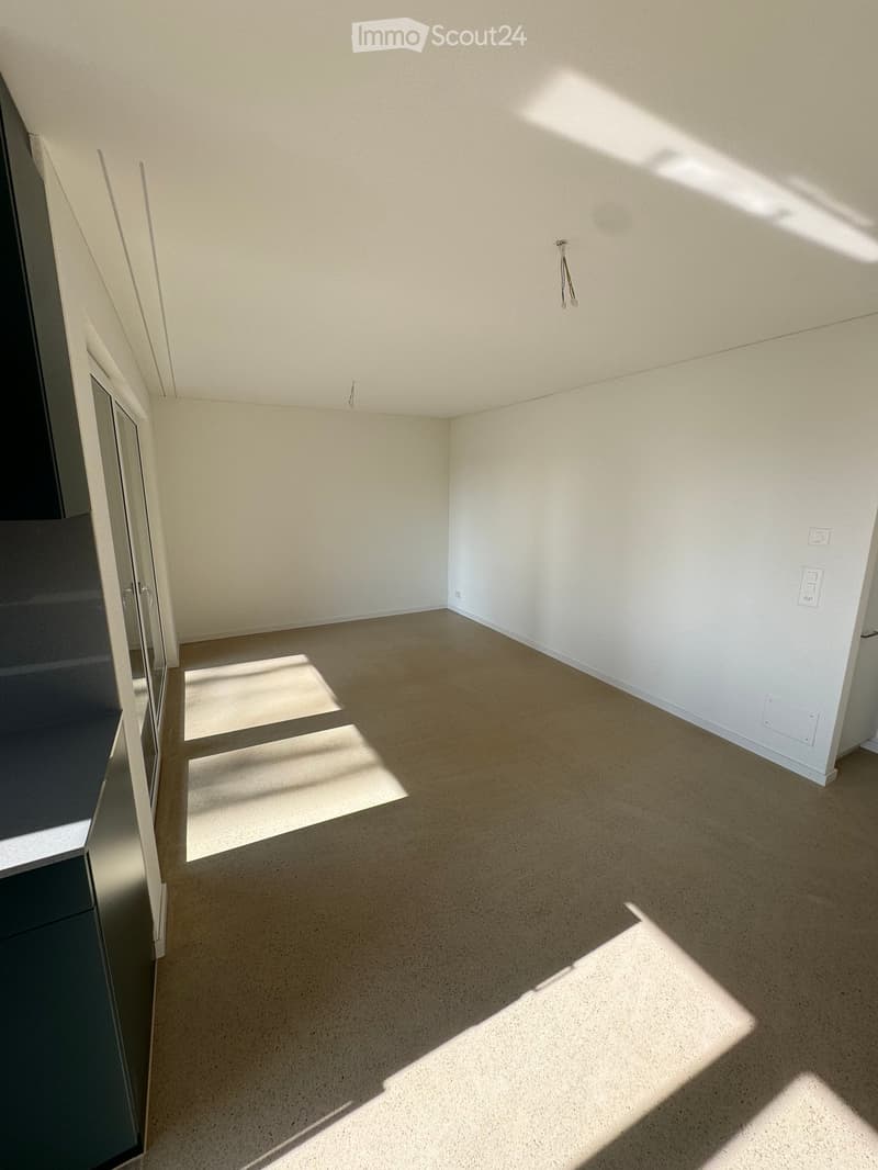 Empty room with light-colored walls and carpeted floor, featuring a large window allowing natural light to enter.