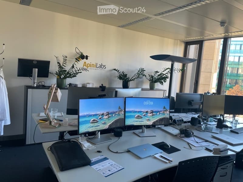 Office space with multiple computer monitors, a laptop, a keyboard, a mouse, a backpack, a cup, and several potted plants. The room features a large window with a city view.
