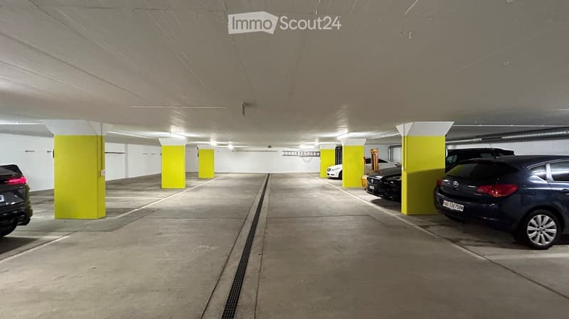 KERNSANIENIERTE UND HOCHWERTIGE 3½-ZI.-WOHNUNG (14)