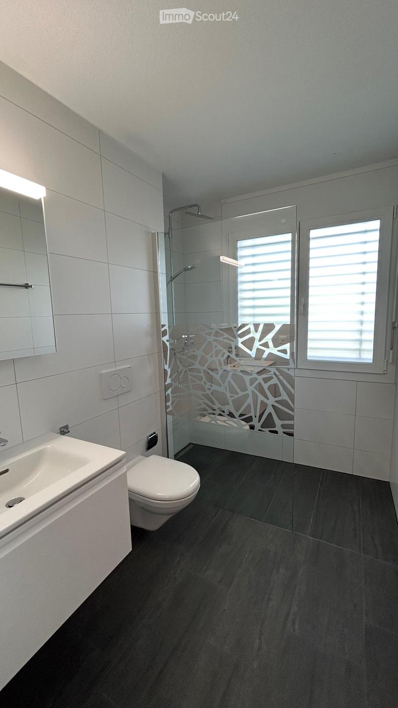 KERNSANIENIERTE UND HOCHWERTIGE 3½-ZI.-WOHNUNG (13)