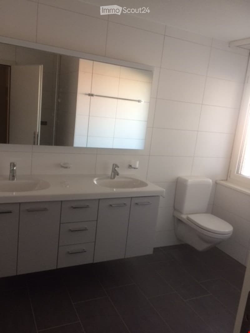 Modern bathroom with double sink vanity, large mirror, and toilet. White tiles and dark flooring.