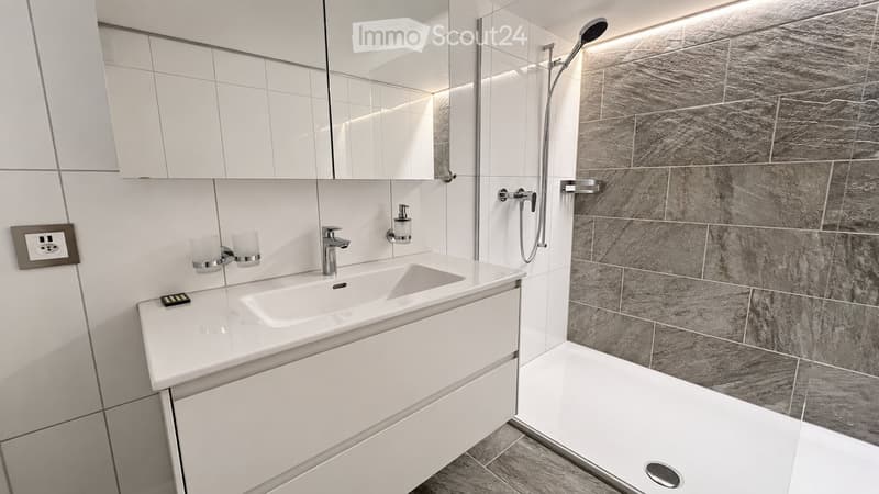 Modern bathroom with a white sink, chrome faucet, large mirror, and a walk-in shower with a modern glass enclosure and grey marble tiles.