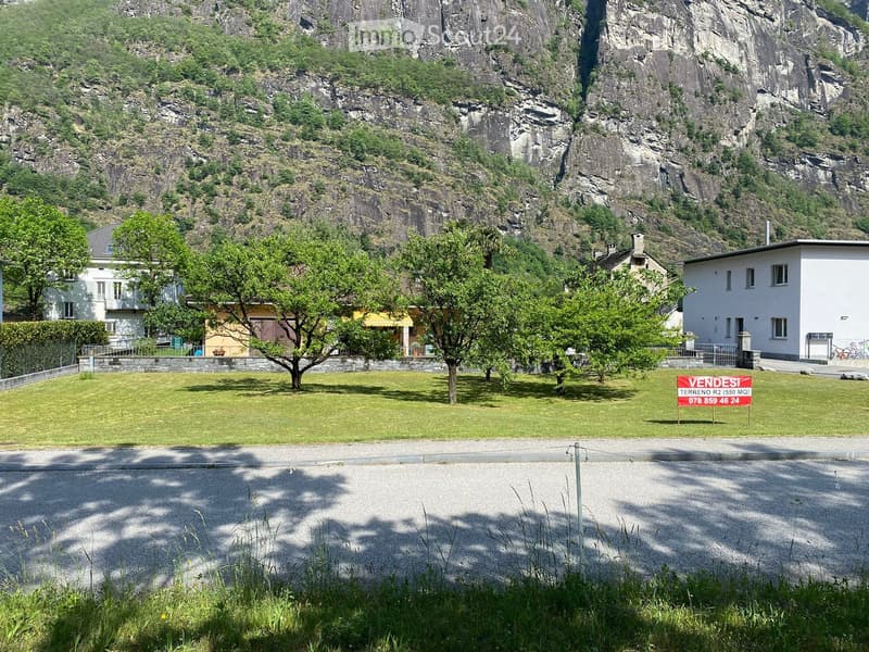 A grassy area with trees and several houses in the background, surrounded by rocky mountains.