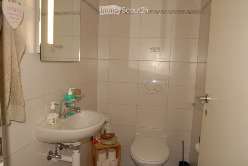 A small bathroom with a white sink, mirror, toilet, and a towel hanging on the wall. Toilet paper and a soap dispenser are placed on the sink counter.