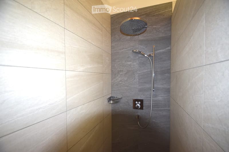 Modern shower area with a rainfall showerhead, handheld shower hose, control panel, and a small tray for toiletries.