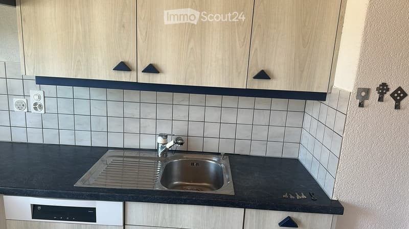 Modern kitchen with light wood cabinets, dark countertop, stainless steel sink, and built-in dishwasher.