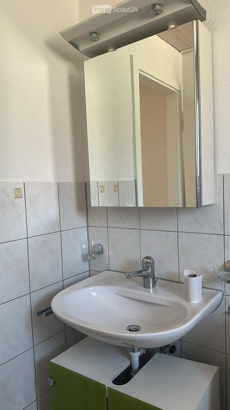 Modern bathroom with a white sink, chrome faucet, mirrored cabinet, and green storage cabinet below the sink.