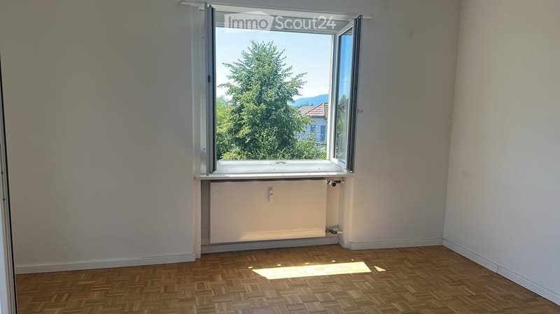Empty room with wooden flooring, large window with view of greenery, radiator below window, and white walls.