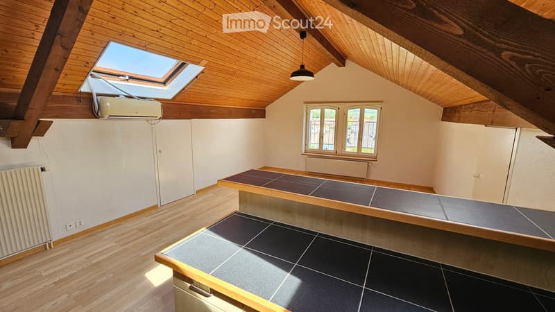 Empty room with wooden ceiling, skylight, wooden floor, radiator, and built-in platform with dark tiles.