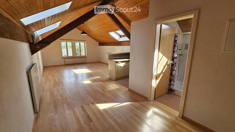 Bright, open loft-style room with wooden flooring, exposed wooden beams, skylights, and a small kitchen area. Adjacent bathroom with shower and tiled walls is visible through an open doorway.
