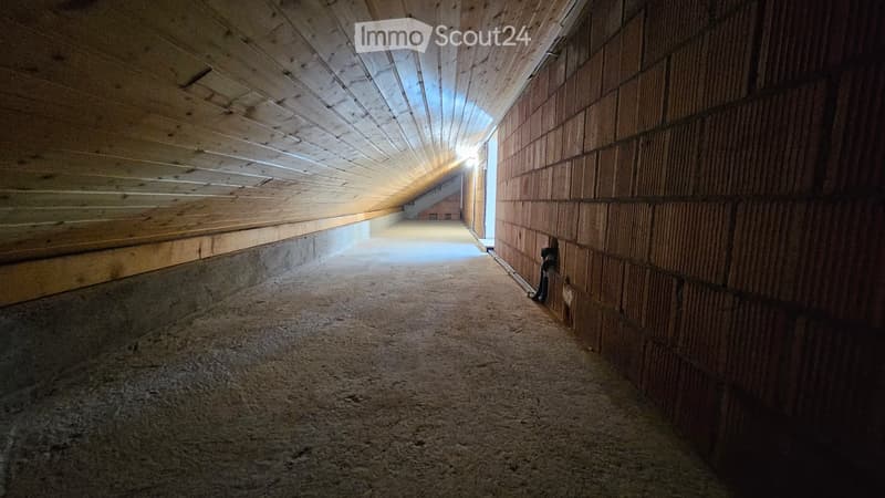 Empty room with wooden walls and ceiling, dirt floor, and a small light fixture at the far end.