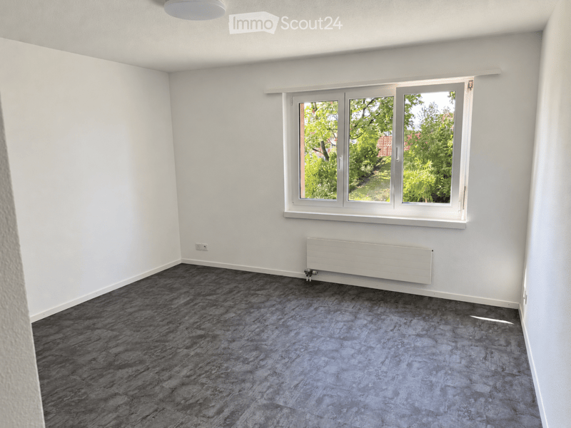 Empty room with white walls, dark grey wood-like flooring, a large window with white frame, and a white radiator below the window.