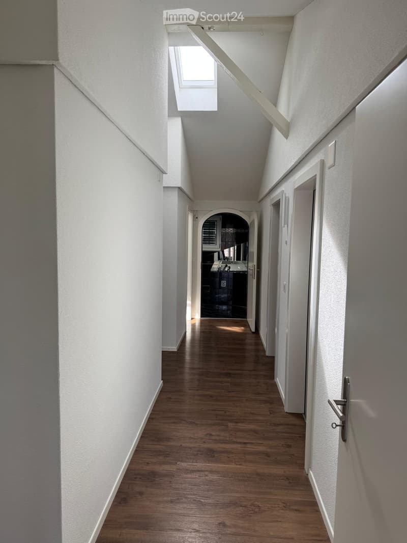 A narrow hallway with wooden flooring, white walls, and a skylight at the far end. Doors line both sides, leading to other rooms.