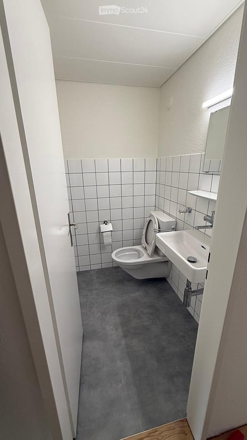 A small, modern bathroom with white tiled walls, a grey carpeted floor, a toilet, a sink with a mirror, and a toilet paper holder.