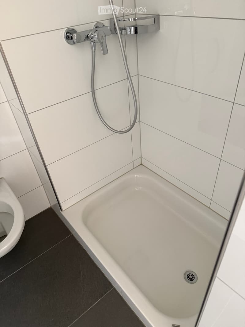 Modern bathroom with a white bathtub, toilet, and chrome faucet with handheld showerhead.