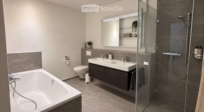 Modern bathroom with a bathtub, double sink, toilet, large mirror, and a glass-enclosed shower. Features include dark grey tiles, a built-in cabinet, and a small plant on the windowsill.