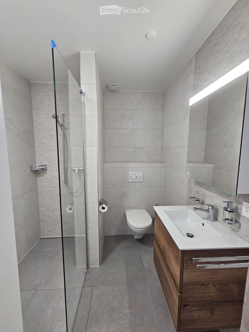 Modern bathroom with grey tiles, a glass-enclosed shower, a toilet, a sink with a wooden cabinet, and a large mirror with built-in lighting.