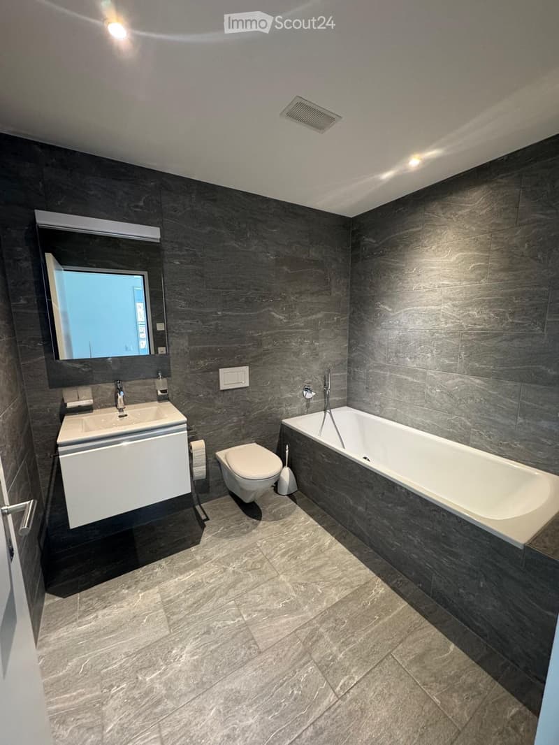 Modern bathroom with dark grey marble tiles, white sink, toilet, bathtub, and a large mirror above the sink.