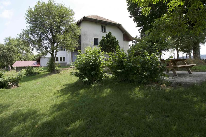 A grassy yard with a picnic table, surrounded by trees and a small white house with a gray roof and windows.