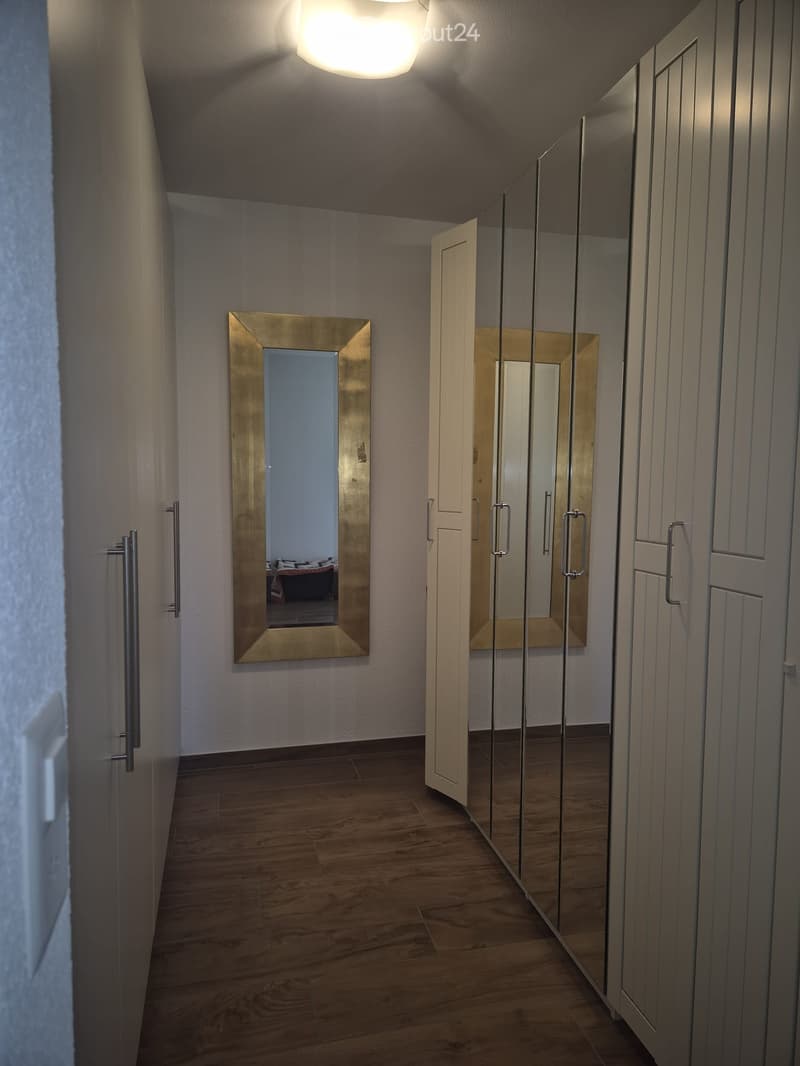 A modern hallway with wooden flooring, white walls, and a large gold-framed mirror on one side. A glass wardrobe with mirrored doors is visible on the right, and a ceiling light fixture provides illumination.