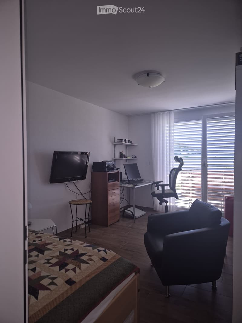 A multi-functional room with a bed, sofa, desk, and TV, featuring wooden flooring and large windows with blinds.