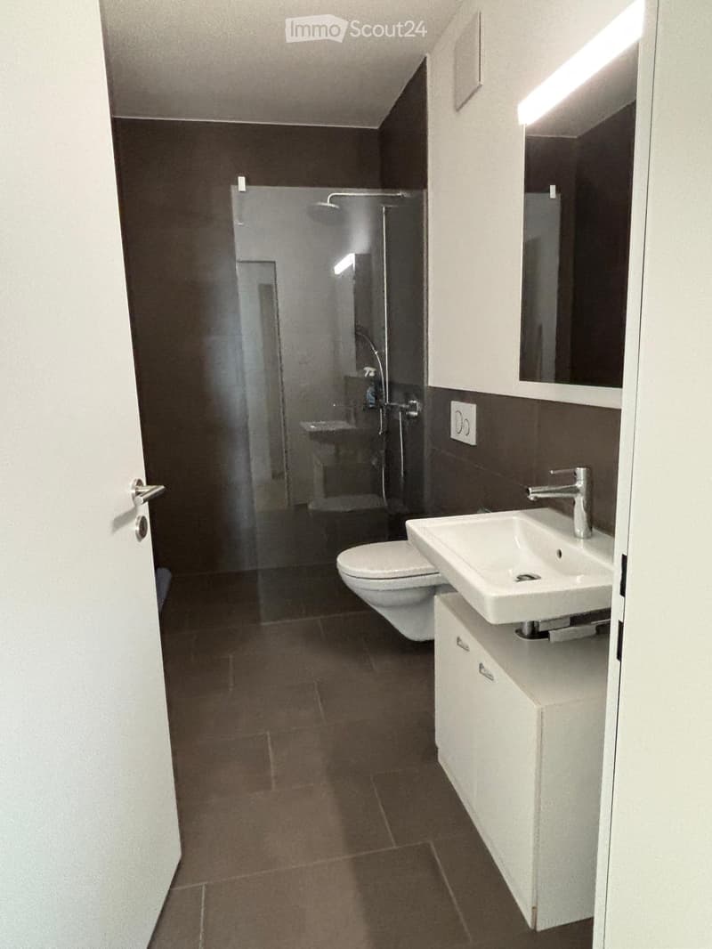 Modern bathroom with dark tiled walls and floor, white sink with chrome faucet, toilet, and a glass-enclosed shower area.