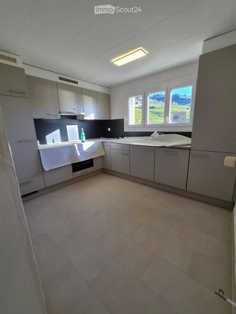 Empty kitchen with grey cabinets, tiled floor, and large windows offering a view of the landscape.