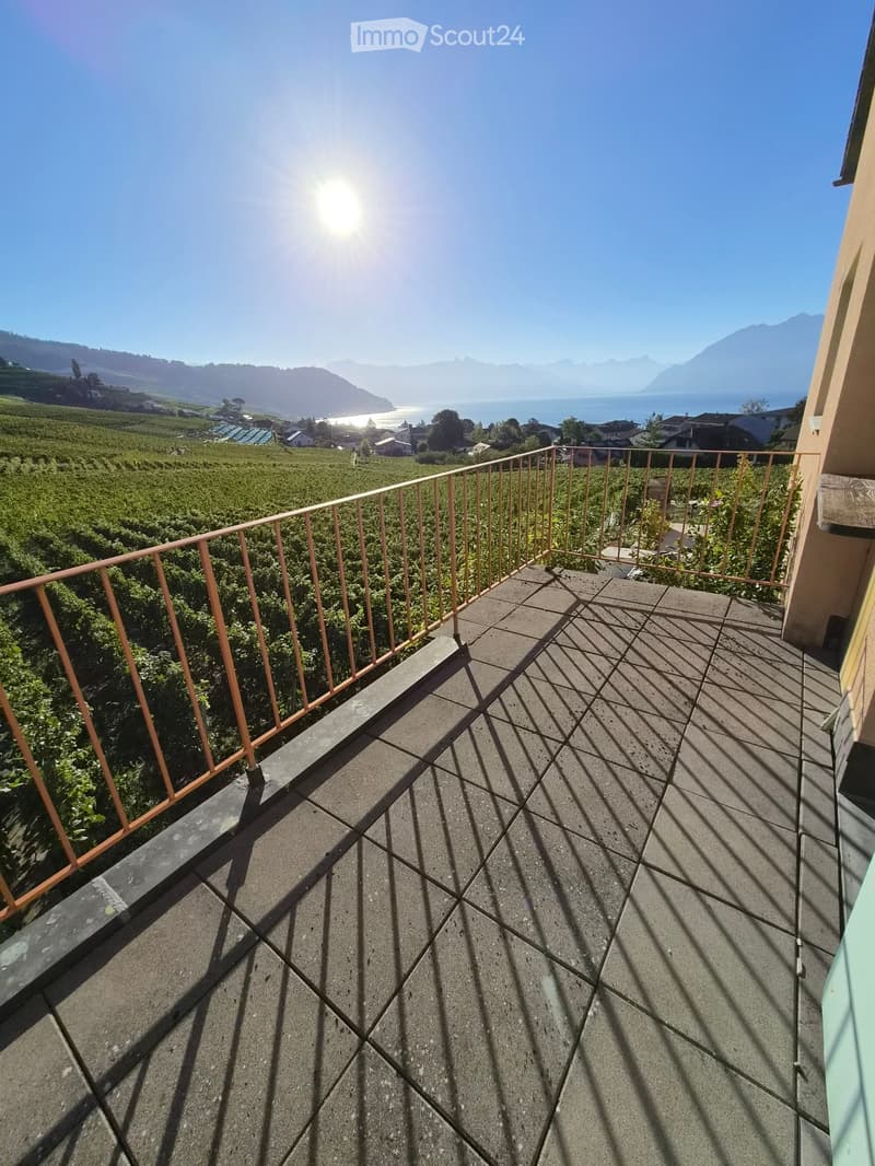 Balcony with stone tiles, metal railing, overlooking vineyards and a lake with mountains in the background.