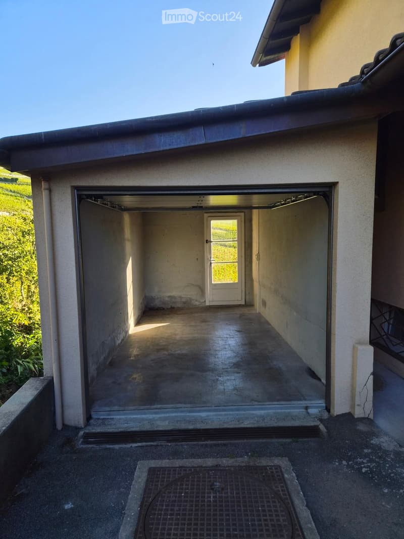 {"type": "Garage", "objects": [], "description": "Garage with a concrete floor, white door, and surrounding greenery visible through the open garage door.", "localized_descriptions": {"EN": "Garage with a concrete floor, white door, and surrounding greene