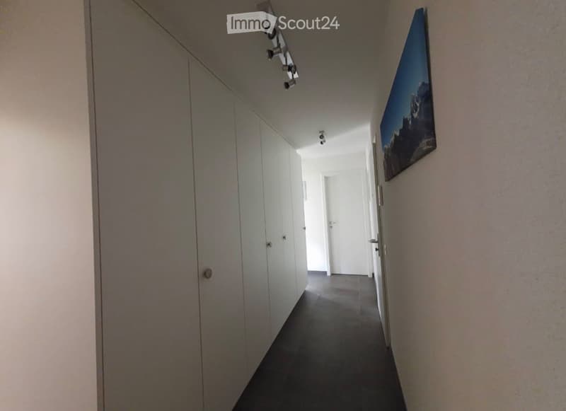 A modern hallway with built-in white cabinets on one side and a framed picture on the other. The floor is dark, and the ceiling has recessed lighting.