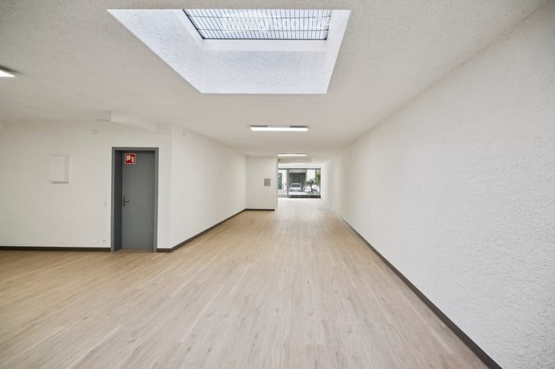 Empty hallway with light wooden flooring, white walls, and a grey door on the left. A skylight is visible at the top center, and a small view of an outdoor area is seen at the far end.
