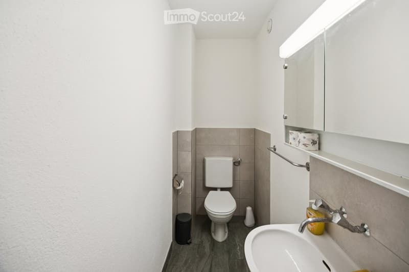 Modern, compact bathroom with white walls, grey tiles, a toilet, a sink with a mirror cabinet, and a towel rack.