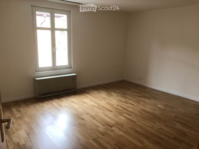 Wohnung in Malters (7)