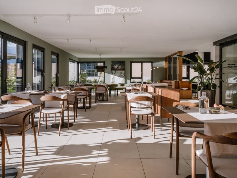 Bright, modern restaurant with large windows, wooden tables, and chairs arranged neatly. Features include a tall potted plant, decorative bottles, and artwork on the walls.