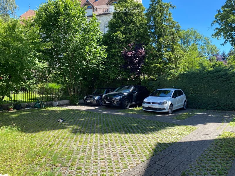 A well-maintained garden area with a paved driveway, three parked cars, and lush greenery surrounding the space.