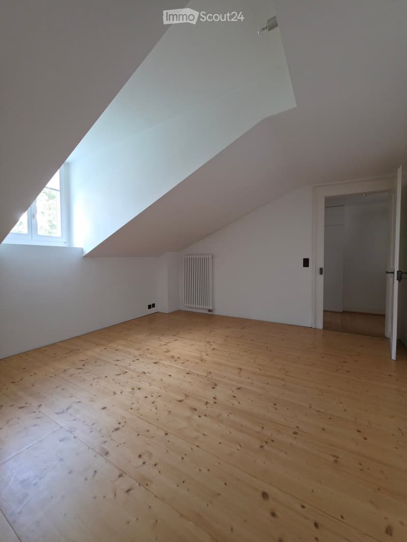 Empty attic room with wooden flooring, white walls, and a skylight window letting in natural light.