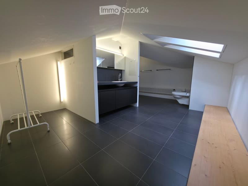 Modern bathroom with dark tiled floor, white walls, sink with mirror, toilet, radiator, and towel rack. Features built-in cabinets and a skylight above the toilet area.