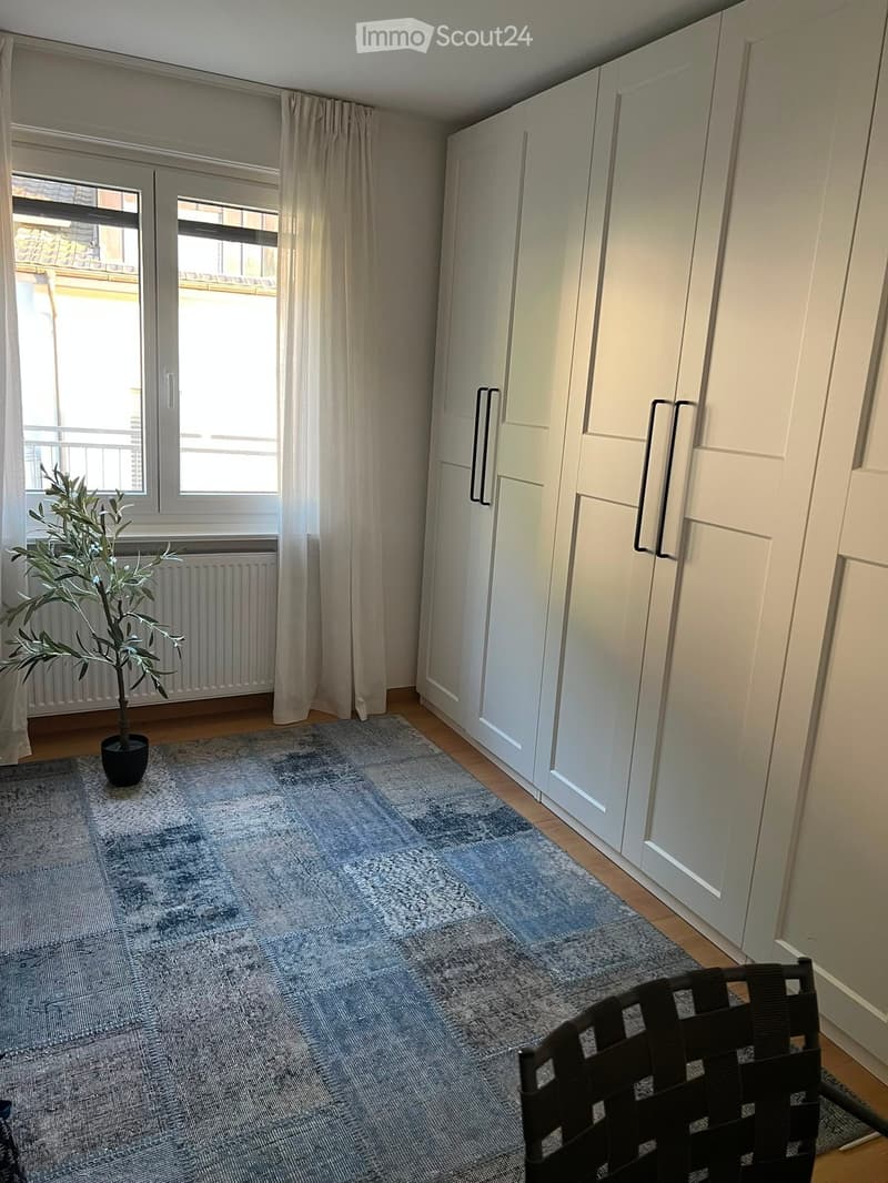 A modern, minimalistic room with a grey rug, a potted plant near the window, and a white wardrobe with black handles. The room features wooden flooring and large windows with sheer curtains.
