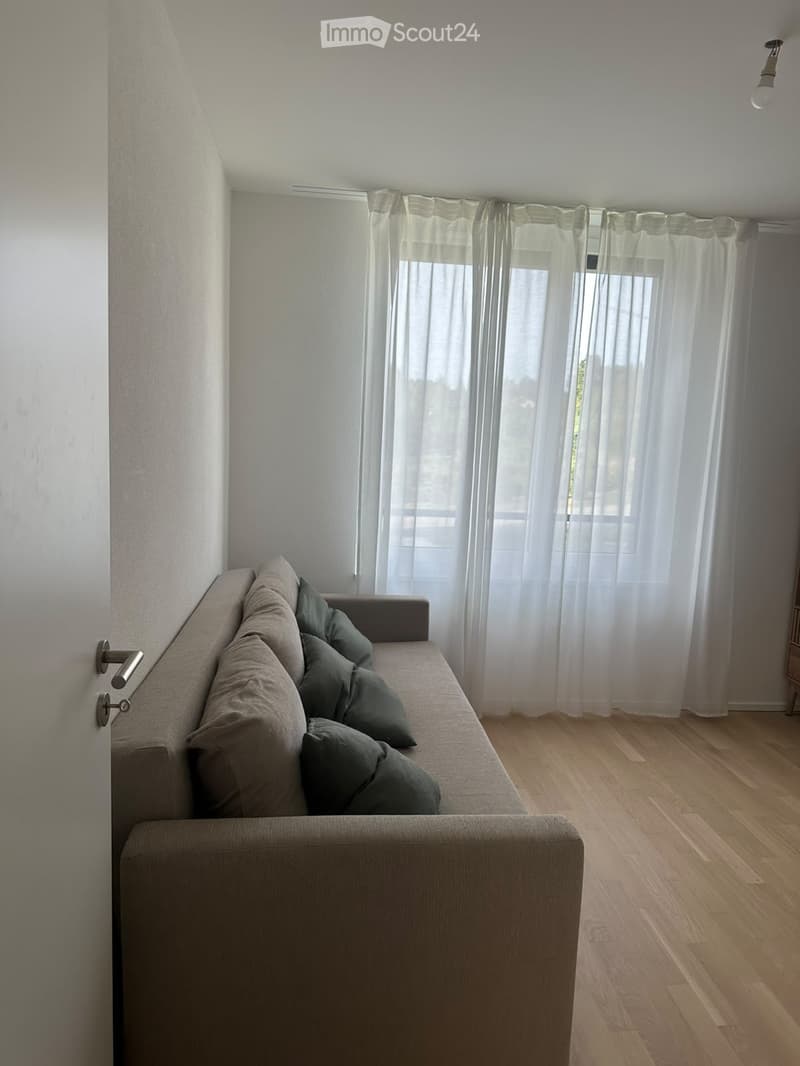 A modern living room with a grey sectional sofa, multiple cushions, large windows with sheer curtains, and wooden flooring.