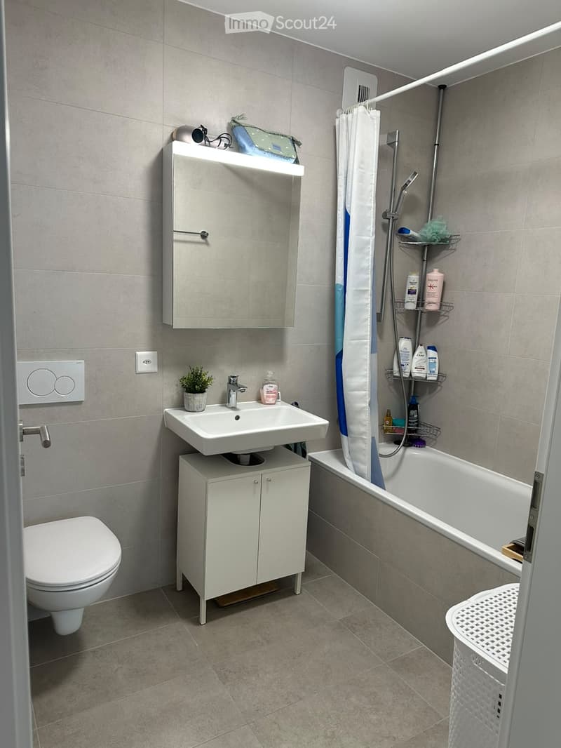 Modern bathroom with a white toilet, sink, bathtub, and shower area. Features a mirrored cabinet, tiled walls, and a small plant on the sink counter.