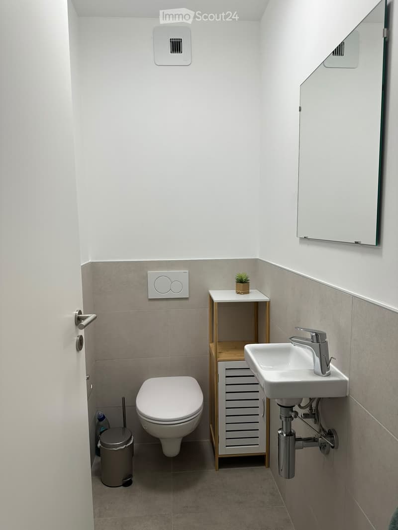 Modern bathroom with white toilet, sink, and mirror, small wooden shelf with plant, and grey trash bin.