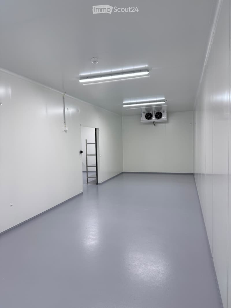 Empty room with white walls, grey floor, fluorescent lighting, and a small ladder in the background.