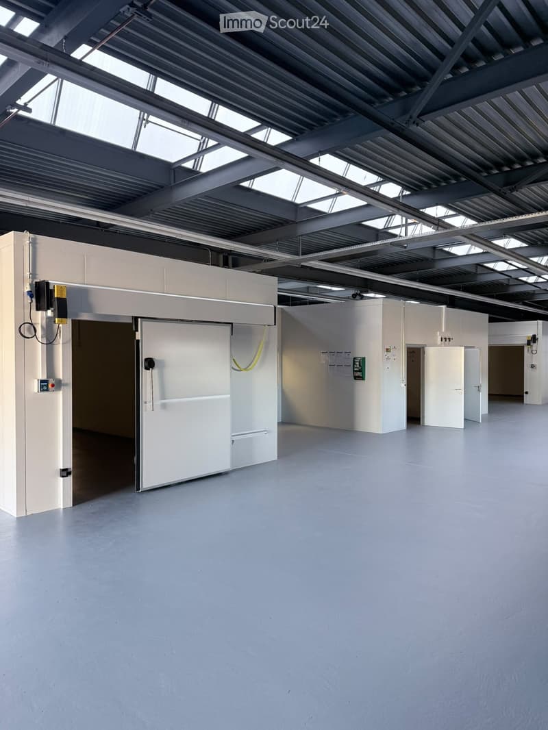 Empty industrial-style room with grey concrete floor, white walls, large metal-framed windows, and several doors.