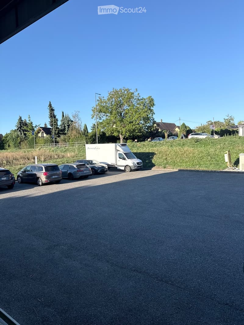 Parking area with several cars, a van, and a trailer, surrounded by greenery and trees.