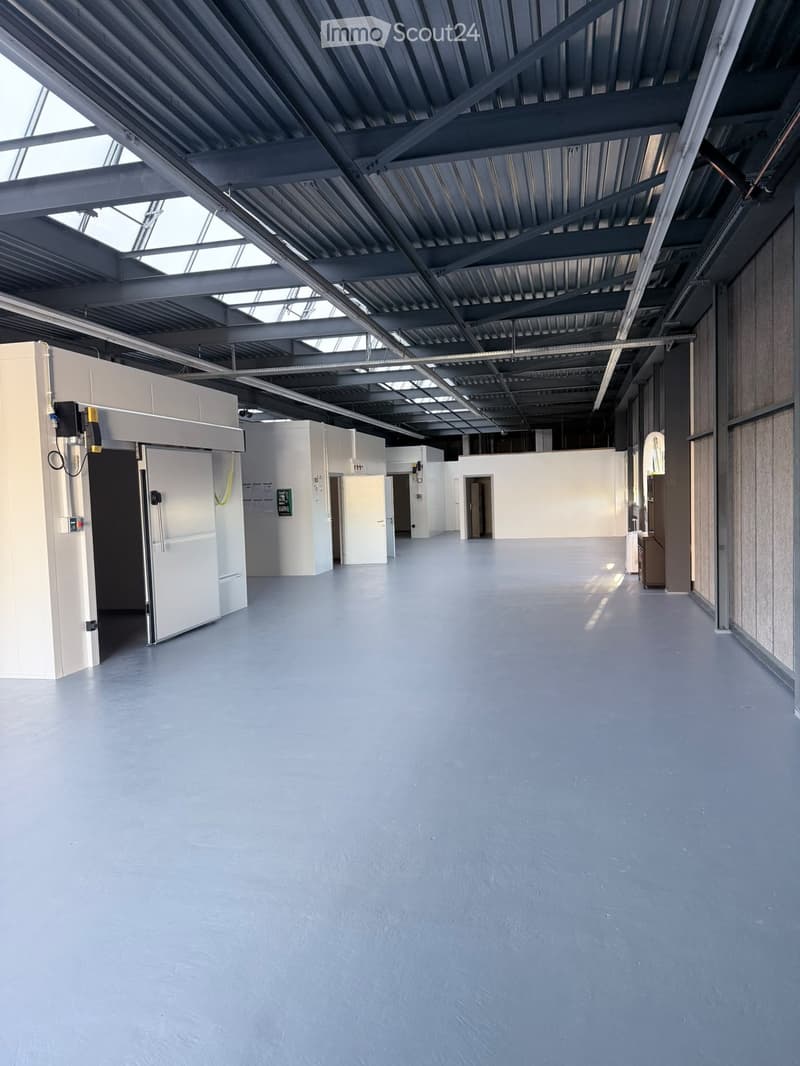 Empty industrial-style room with grey concrete floor, white walls, large metal-framed windows, and multiple doors.